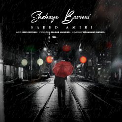 Saeed Amiri   –  Shabaye Barooni